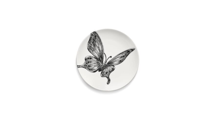 Fat Butterfly